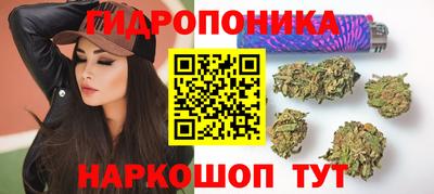 мдпв Лесосибирск