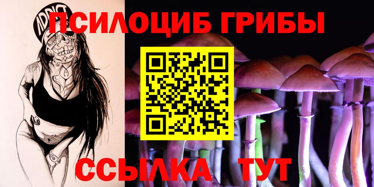 Бузулук  Галлюциногенные грибы Psilocybe  Псилоцибиновые грибы MAGIC MUSHROOMS  Вход с VPN 